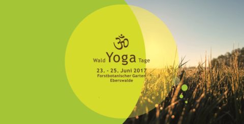 Wald Yoga Tage Eberswalde