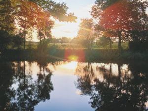 Outdoor-Yoga am Volksbad | Mi, 18.06.25, 17-18.30 Uhr